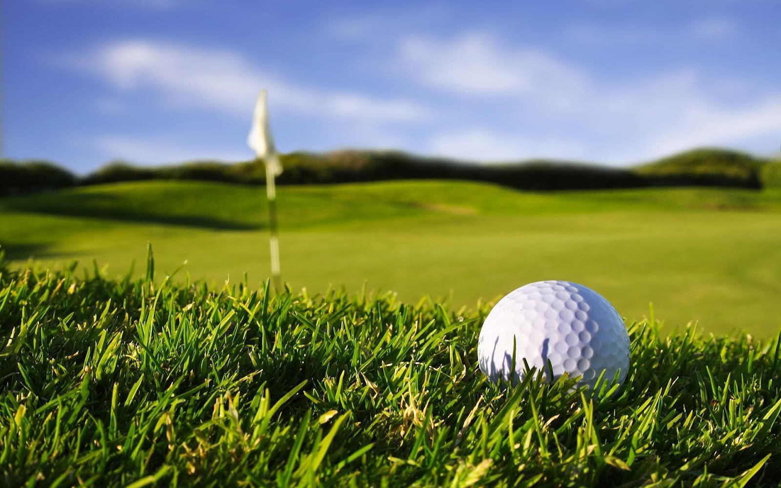 thumbnails San Benito Chamber of Commerce 1st Annual Scholarship Golf Tournament
